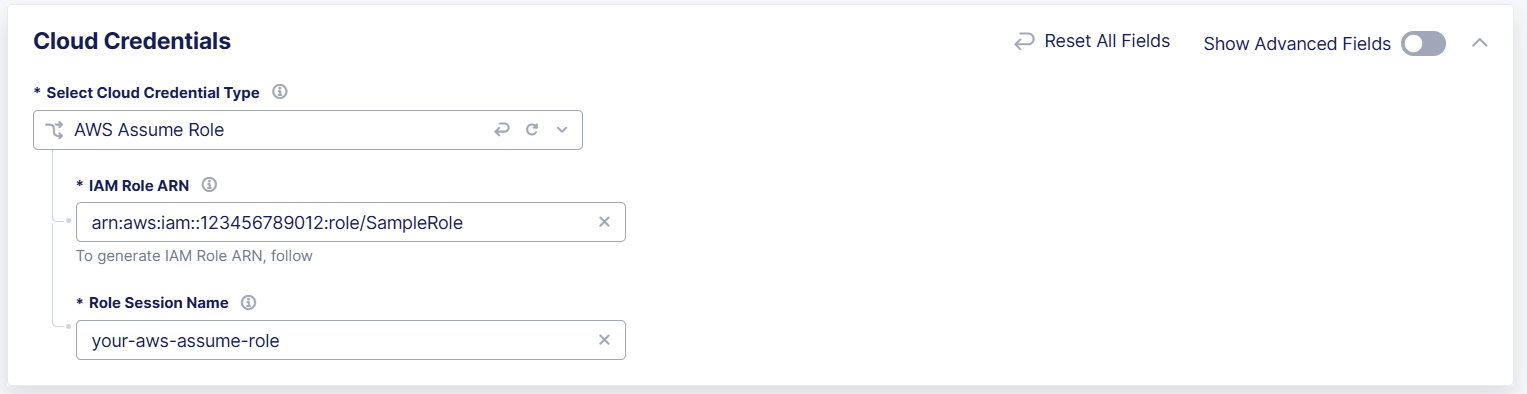 Figure: Configure AWS Assume Role