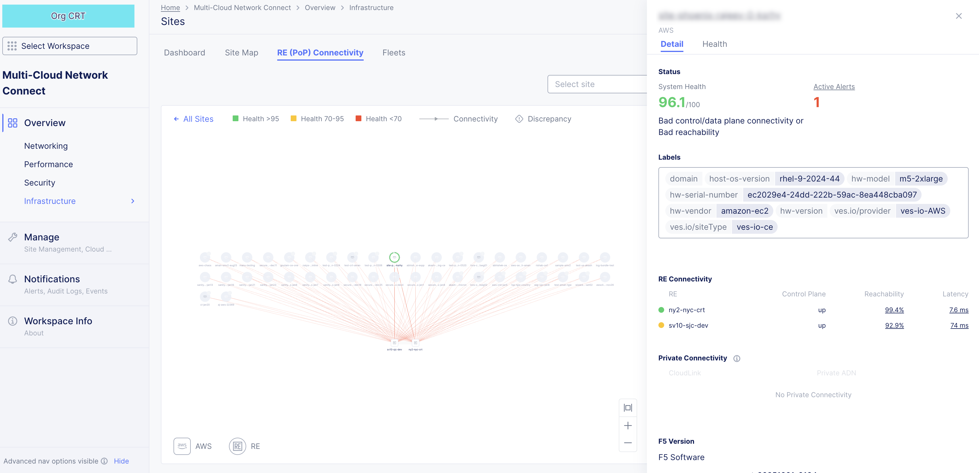 Figure: RE (PoP) Connectivity Details
