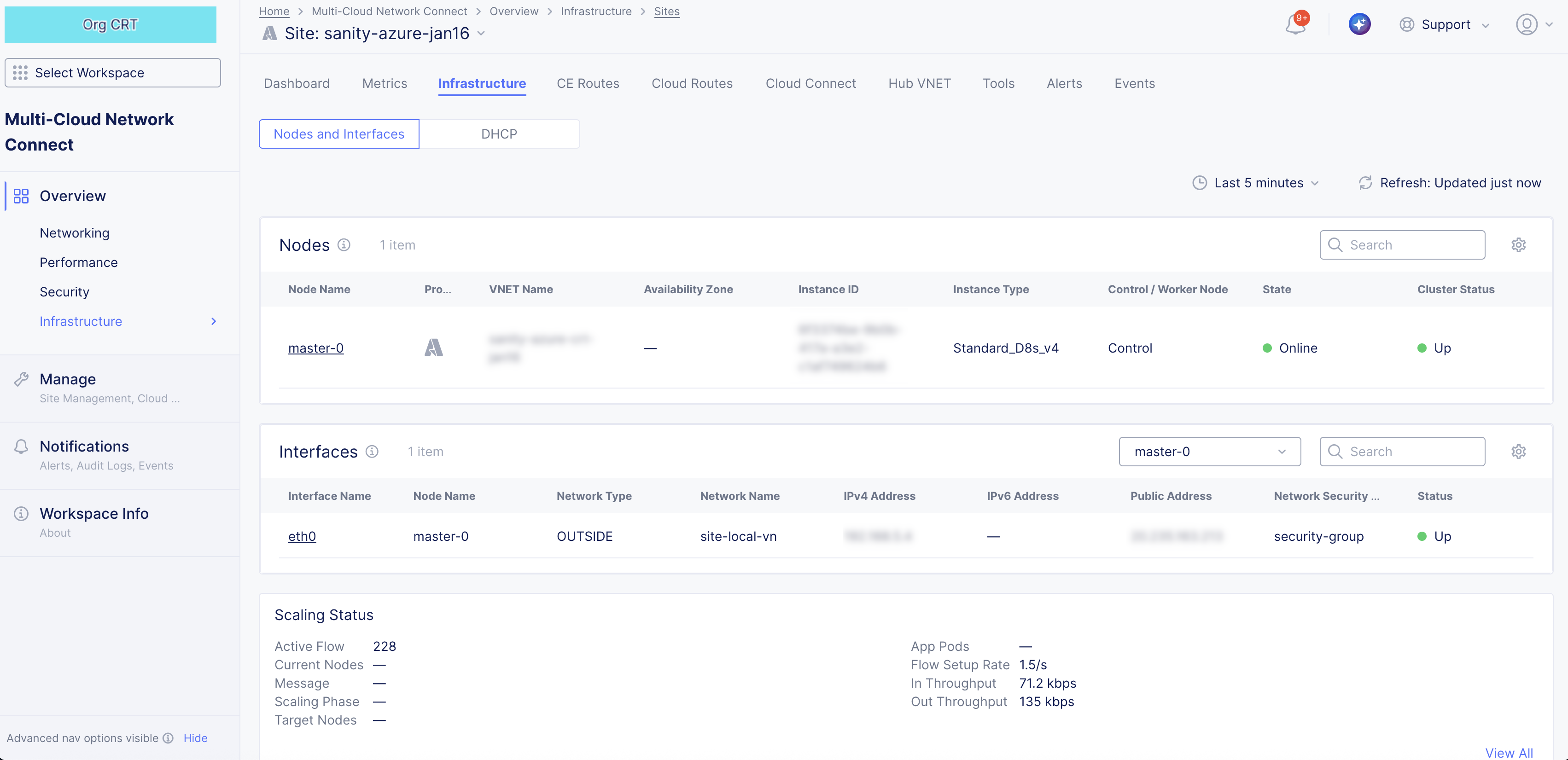 Figure: Site Infrastructure Nodes and Interfaces